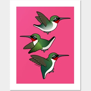 Hummingbirds in Flight Posters and Art